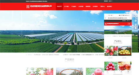 企業(yè)網(wǎng)站、程序軟件App解決方案
